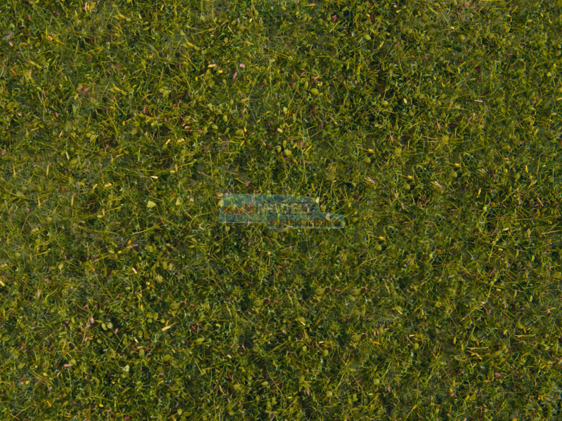 Foliáž - luční tráva - středně zelená, 20x23cm