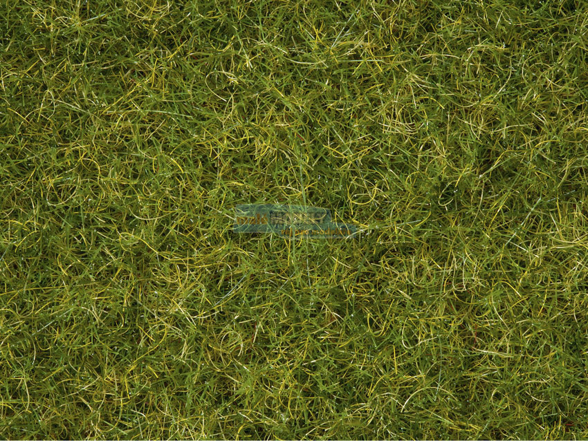 Tráva st. letní louka 2,5 - 6 mm (50 g)