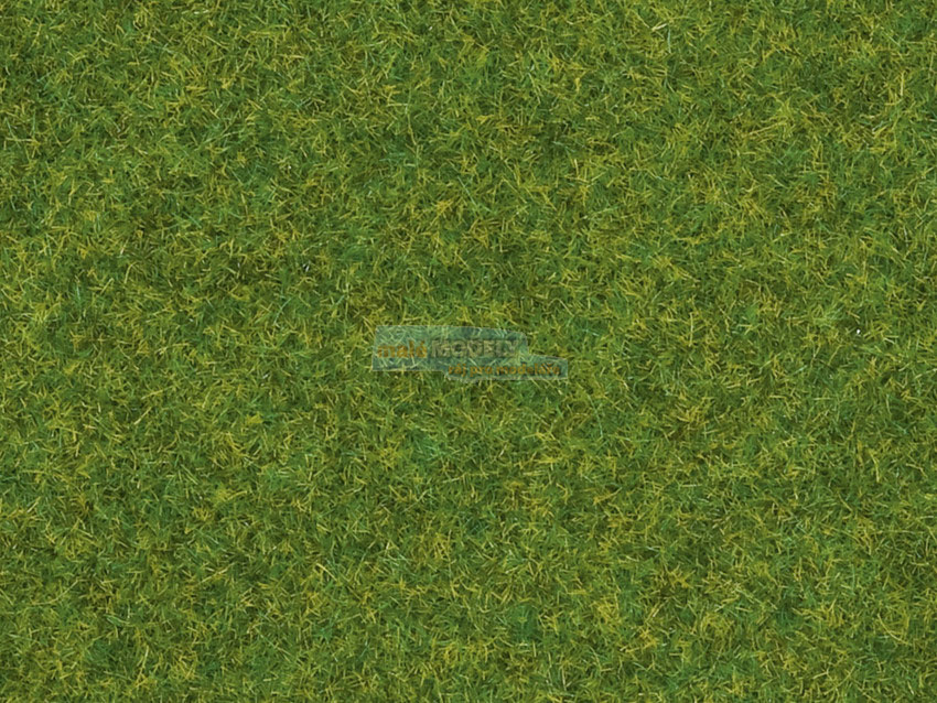 Tráva okrasn  trávník 2,5mm 20g