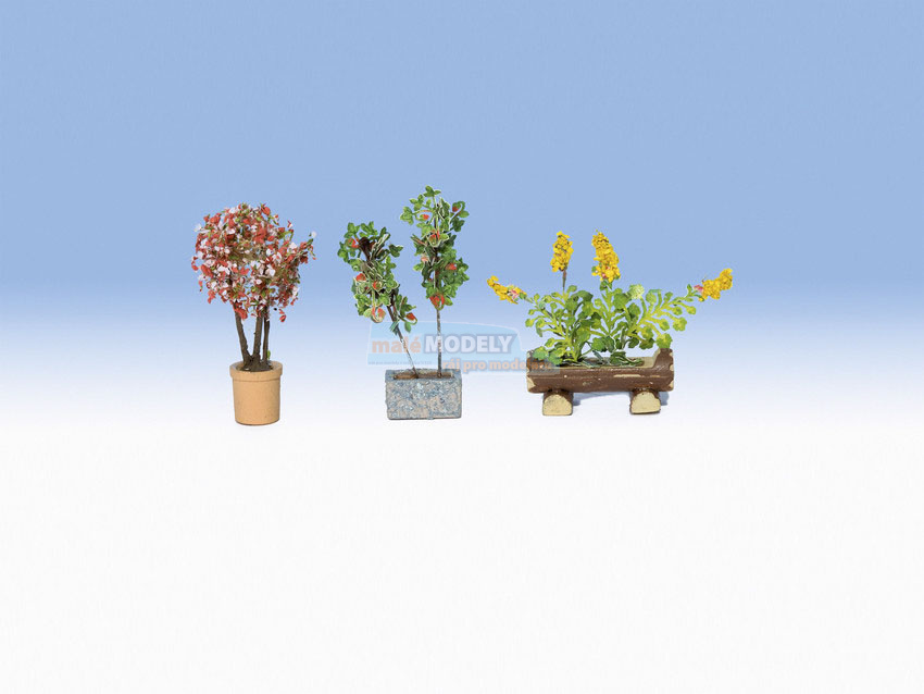 Okrasné rostliny v květináčích (3 ks)