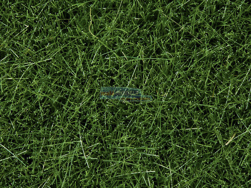 Tráva divoká tmavě zelená 6 mm (100g)
