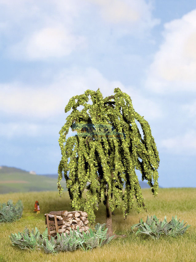 Strom - Vrba smuteční 11 cm
