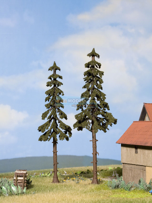 Strom - smrk - vysoký kmen 16 cm a 17,5 cm (2 ks)